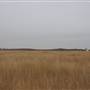 Woodward - Energy Field