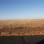 McBee Ranch