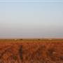 Hwy 412/36 - Guymon Area