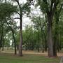 Dolese Youth Park