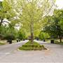 Mesta Park Historical Neighborhood