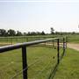 NFL Farms
