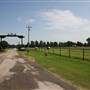 NFL Farms