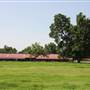 NFL Farms