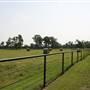 NFL Farms