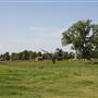 NFL Farms
