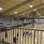 Lighthouse Sports Fitness + Health