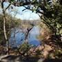 Martin Nature Park