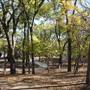 Martin Nature Park