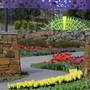 Tulsa Botanic Garden