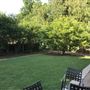 Williams Residence