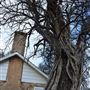 Fort Washita