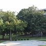 Southeastern Oklahoma State University