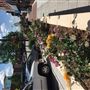 Downtown Broken Arrow