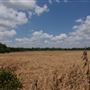 Stinchcomb Wildlife Refuge