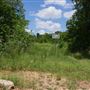 Stinchcomb Wildlife Refuge