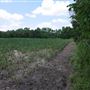 Stinchcomb Wildlife Refuge