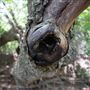 Stinchcomb Wildlife Refuge