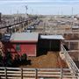 Oklahoma National Stockyard Exchange