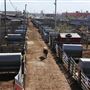 Oklahoma National Stockyard Exchange