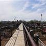 Oklahoma National Stockyard Exchange