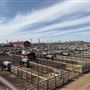 Oklahoma National Stockyard Exchange