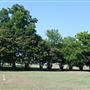 Pioneer Cemetery