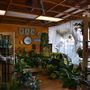 Butts Flower Shop