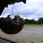 That Country Music Place