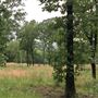 Hunt Mill Hollow Ranch