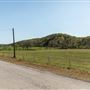 Proctor Rd