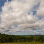 Open Land Adair County