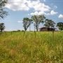 Red Barn