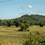 Davis Mountain