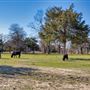 Meadow Lake Ranch