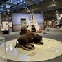 Museum of the Great Plains