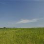 Rydell Ranch