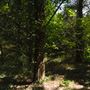 Rydell Ranch