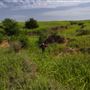 Rydell Ranch