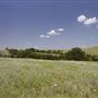 Rydell Ranch