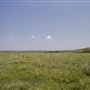 Rydell Ranch