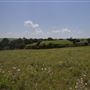 Rydell Ranch