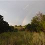 Rydell Ranch