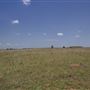 Rydell Ranch