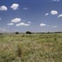 Rydell Ranch