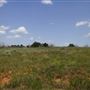 Rydell Ranch