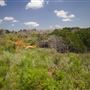 Rydell Ranch