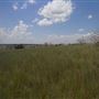 Rydell Ranch