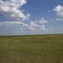 Rydell Ranch