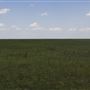 Rydell Ranch